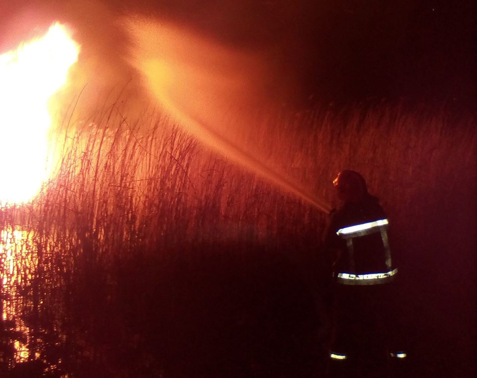 За прошлые сутки спасатели Луганщины более 50 раз выезжали на тушение природных пожаров