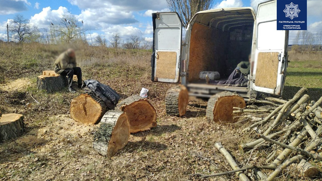 В Краматорске задержали группу лиц, пилящих деревья без разрешительных документов
