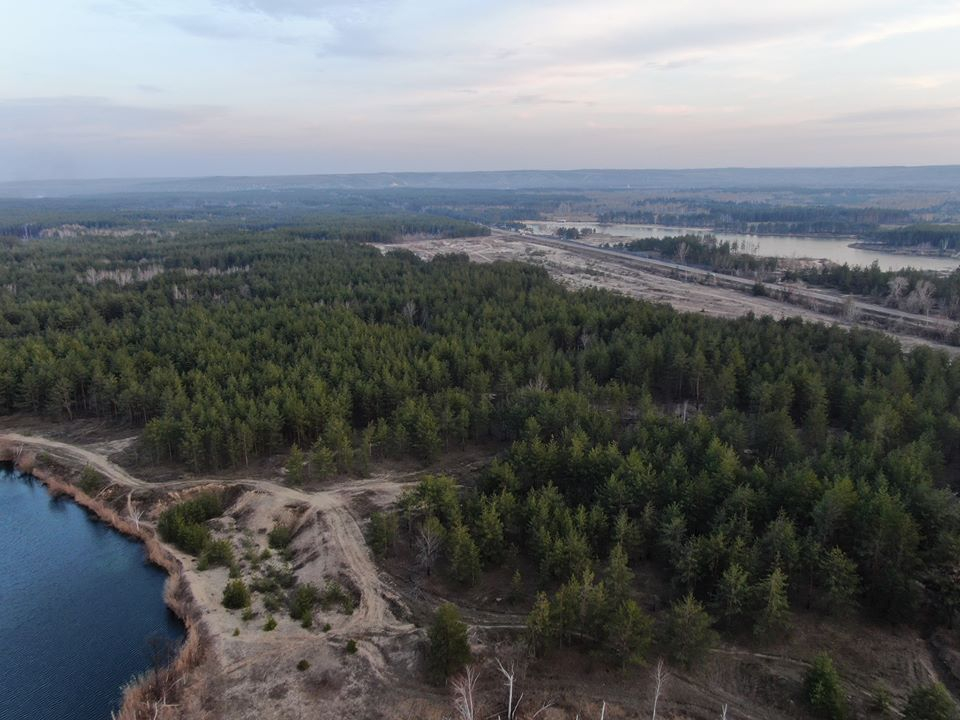 Законность вырубки леса в Донецкой области теперь можно проверить онлайн