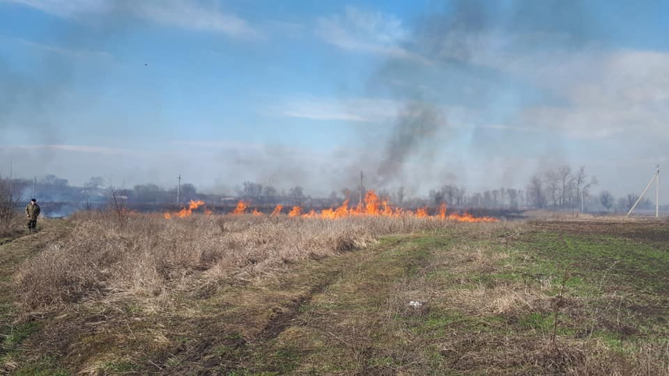 На Луганщине горело 200 га земель, 39 га лесов уничтожено