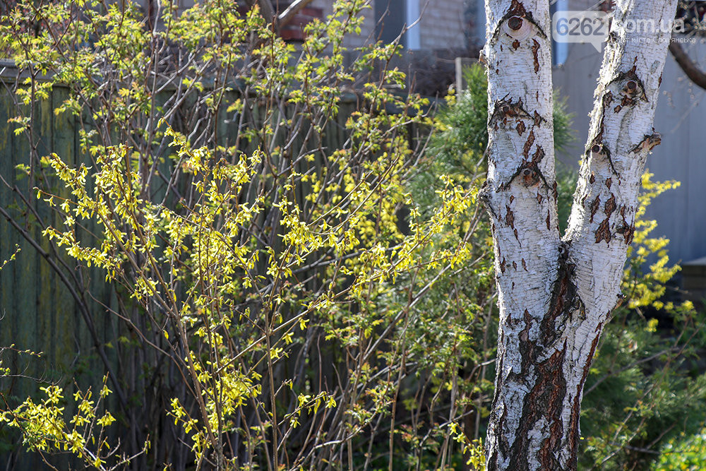 В Славянск пришла настоящая весна: фото