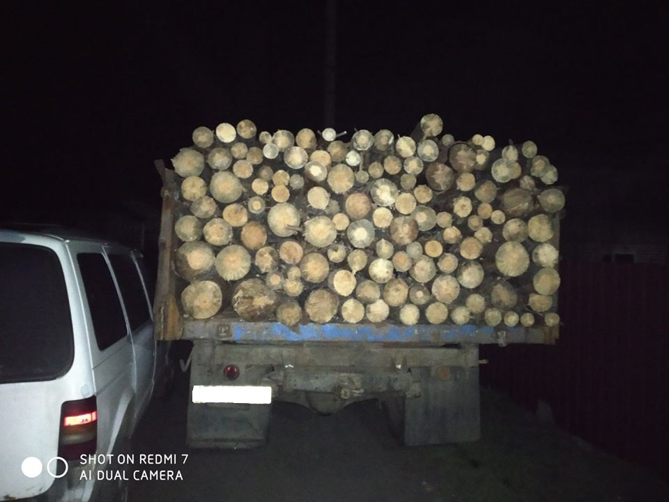 В Лиманской ОТГ общественные активисты задержали машину с древесиной: дело передано в полицию