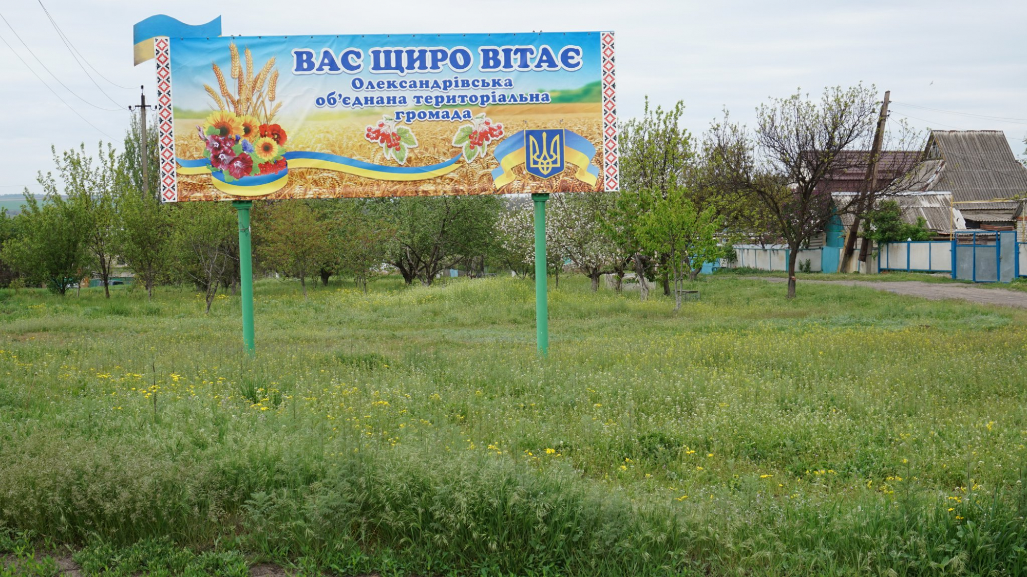 В Александровской ОТГ Донецкой области высаживают 1,5 тыс кустов роз