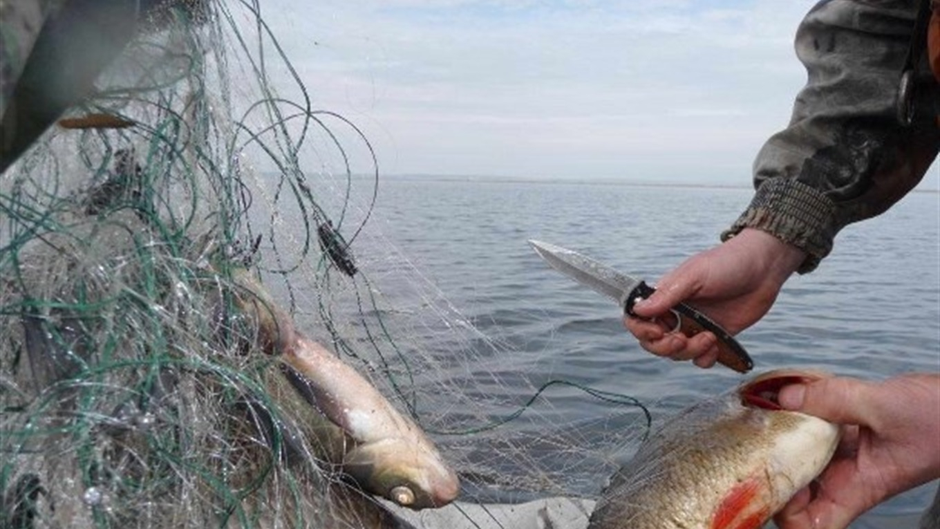 В Азовском море пограничники обнаружили почти 2 километра браконьерских сетей