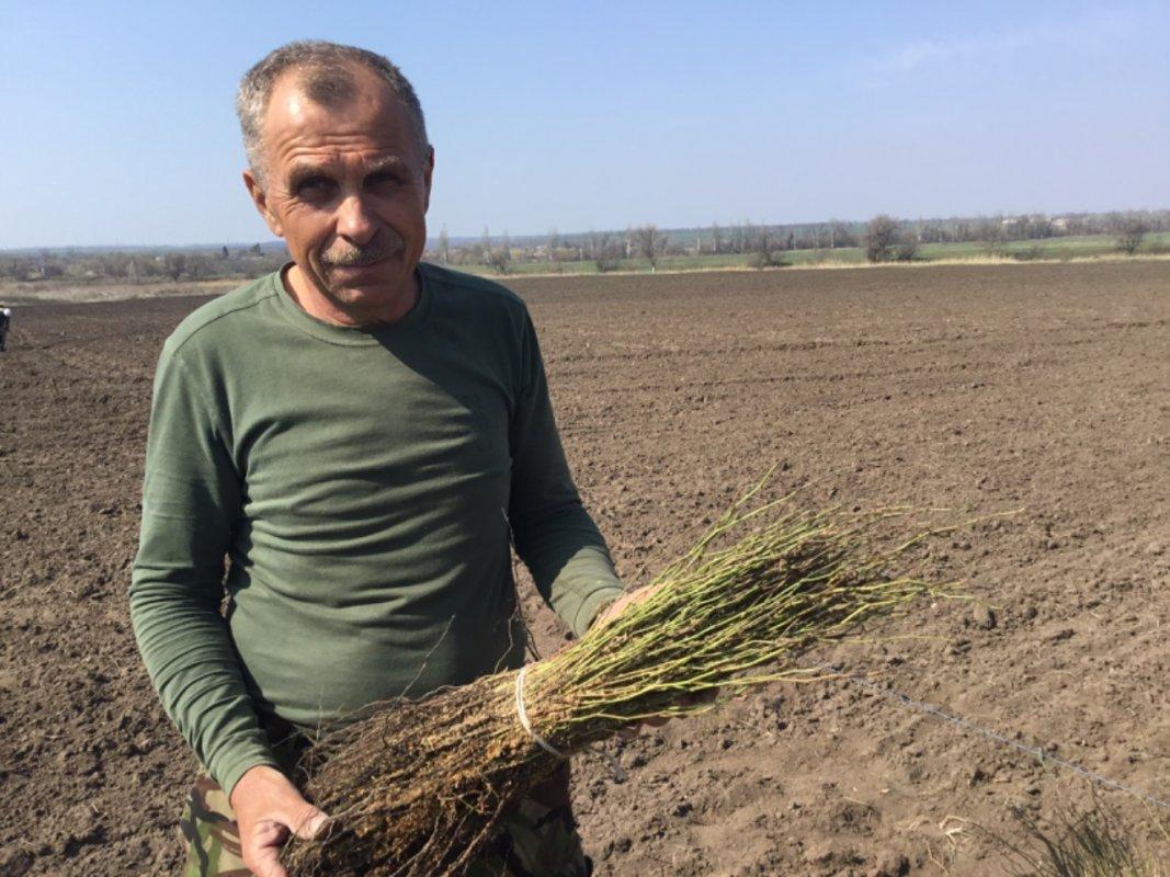 В Донецкой области ветеран АТО занимается садоводчеством