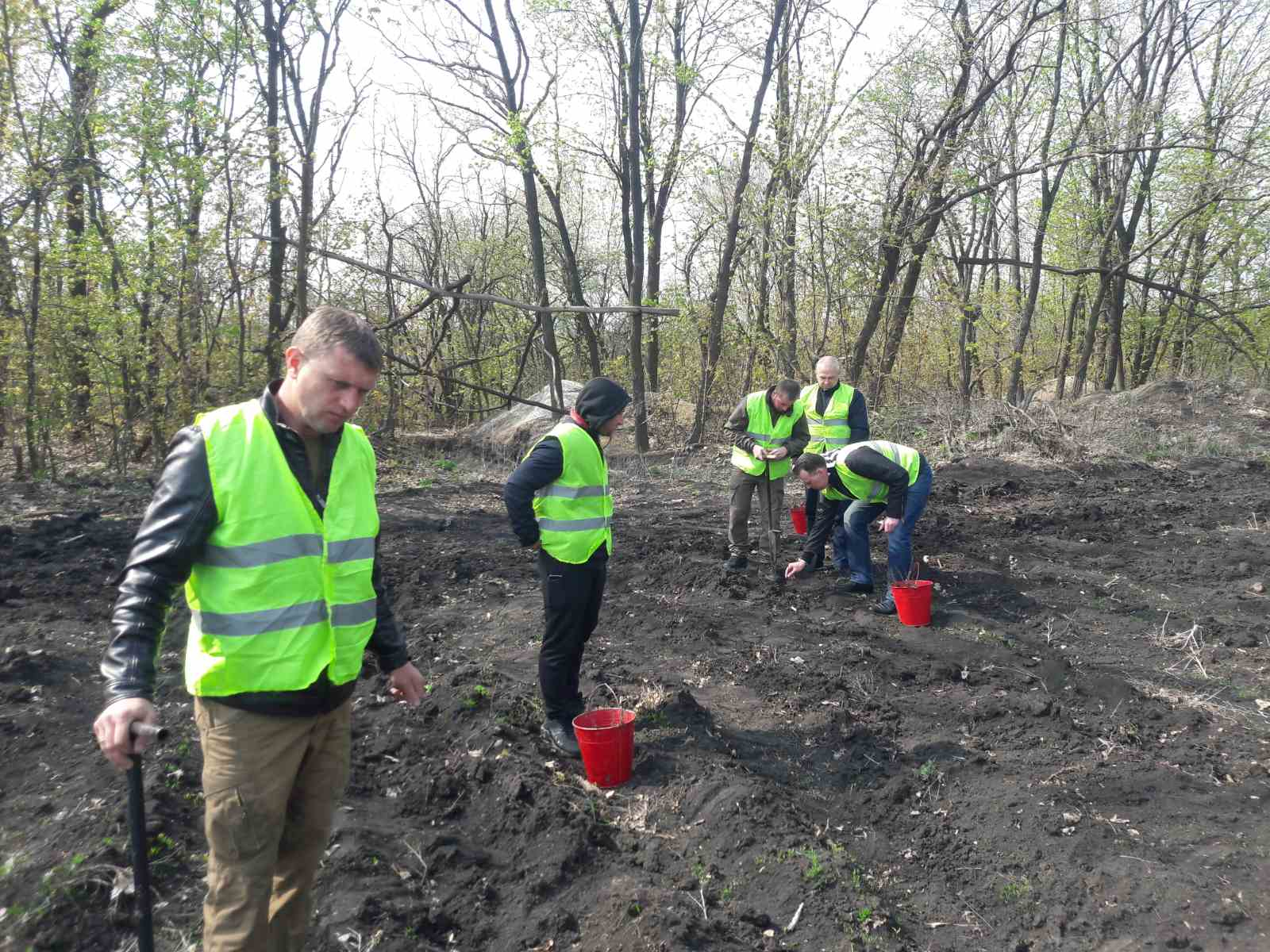 В Часов-Ярском лесничестве высадили дубы и сосны: фото