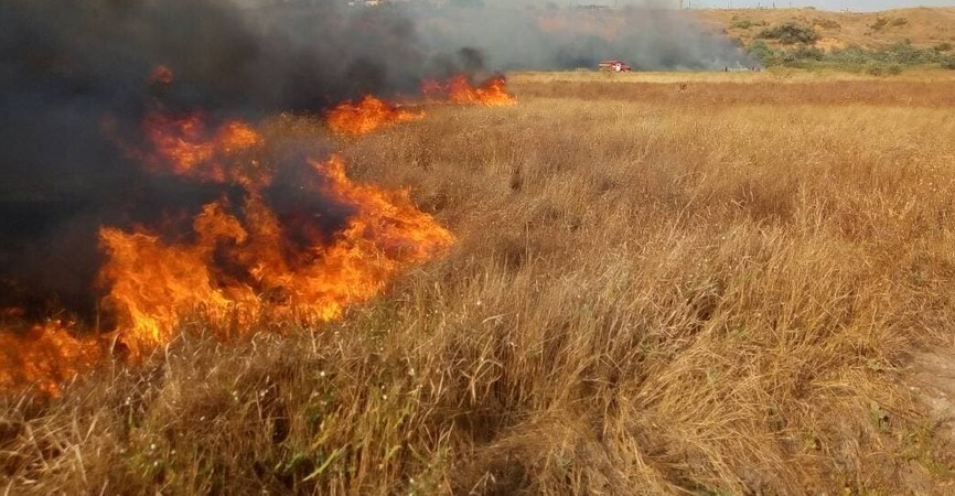 За сутки спасатели Луганщины 5 раз выезжали на тушение сухой травы, камыша и мусора