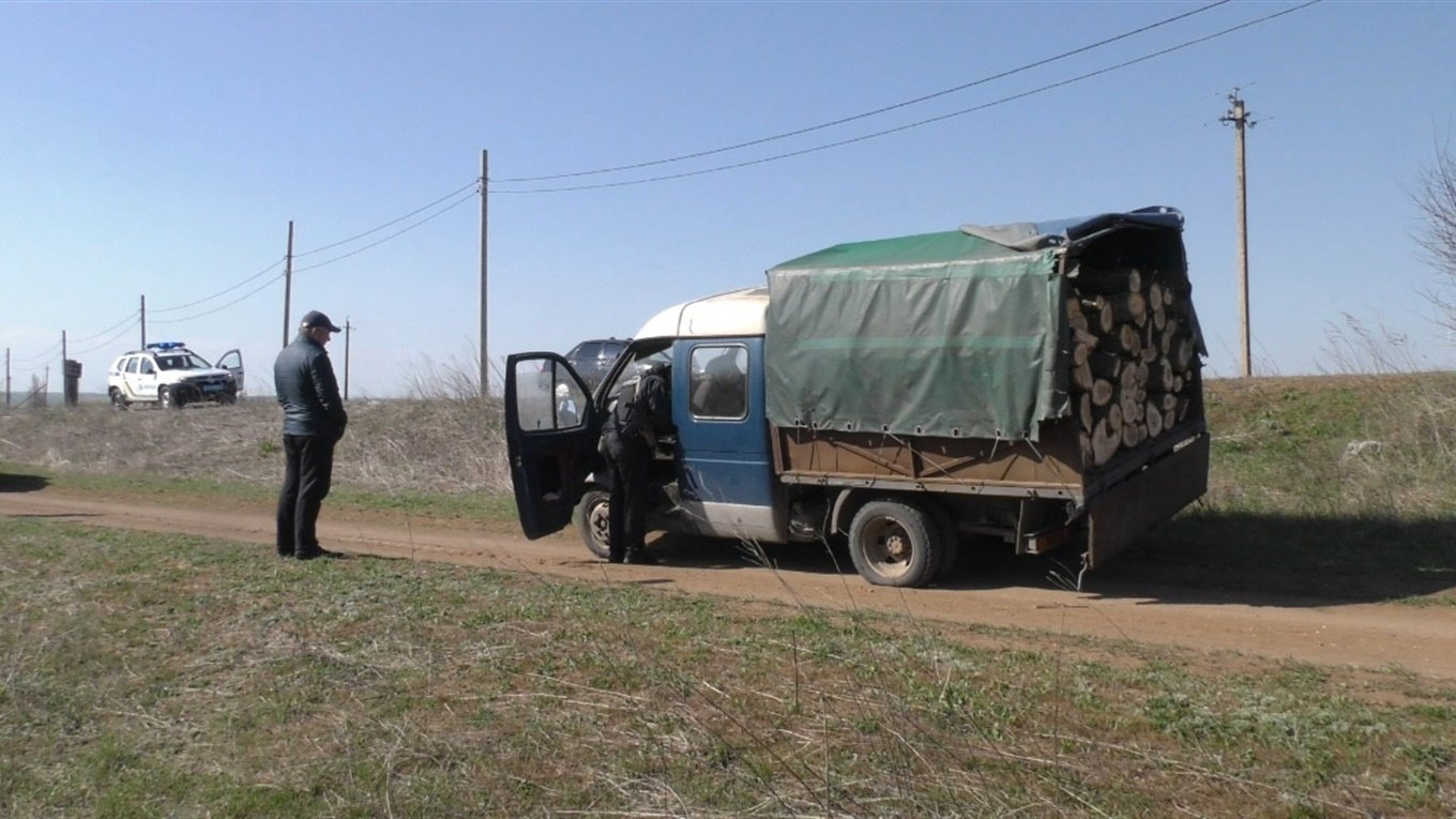 В Славянском районе незаконно вырубали лес: видео