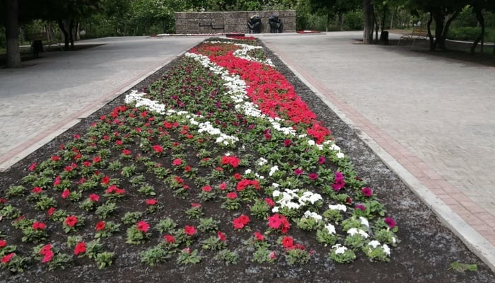 В Мариуполе украсили аллею памяти бело-красными петуньями: фото