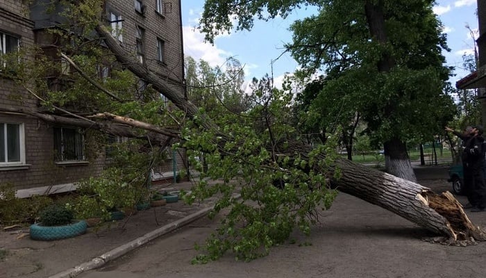 В Мариуполе коммунальщики устраняют последствия штормового ветра