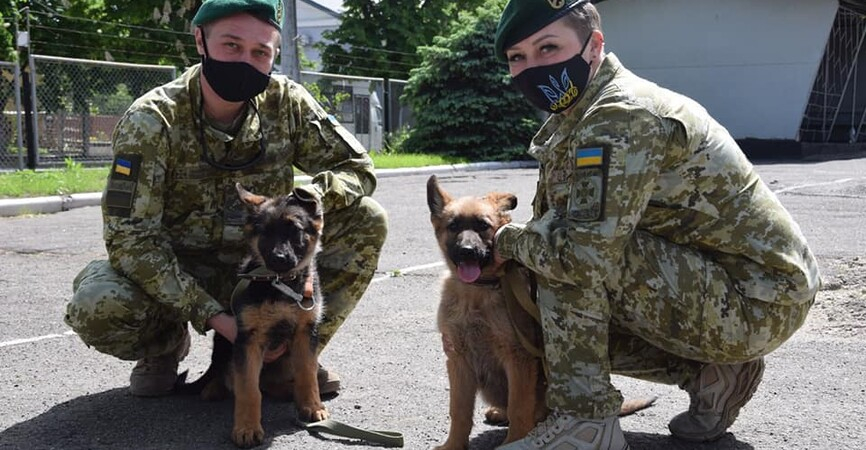 У пограничников "Мариуполя" появилось 2 четверолапых охранника: видео