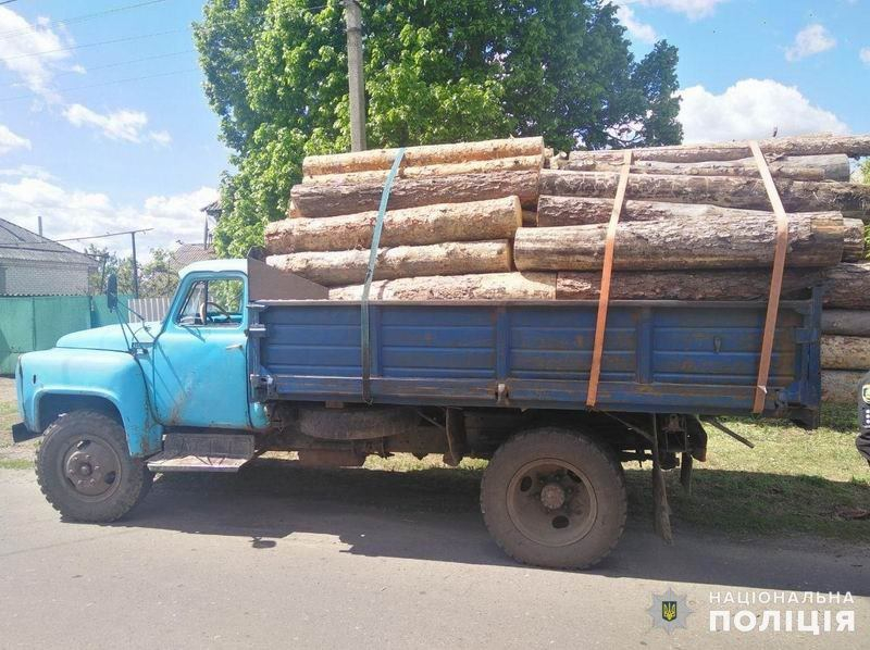 В Лиманском районе правоохранители задержали грузовик с древесиной