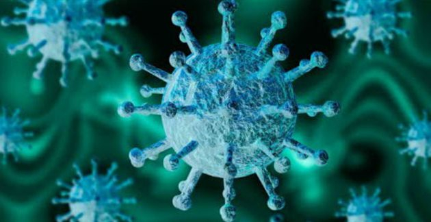 За прошлые сутки в ОРДО не проводили исследования на коронавирус: причина