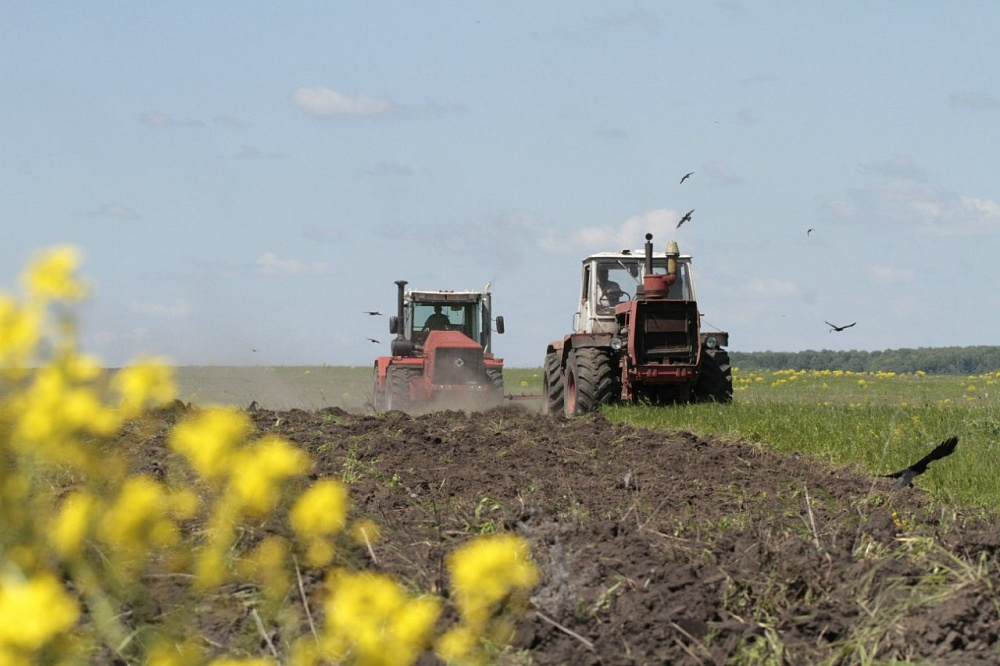 В Луганской области град уничтожил 12 тысяч гектар посевов
