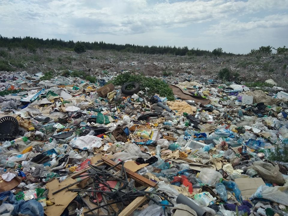 В Станице Луганской лесхоз призывает граждан не делать свалки в лесу