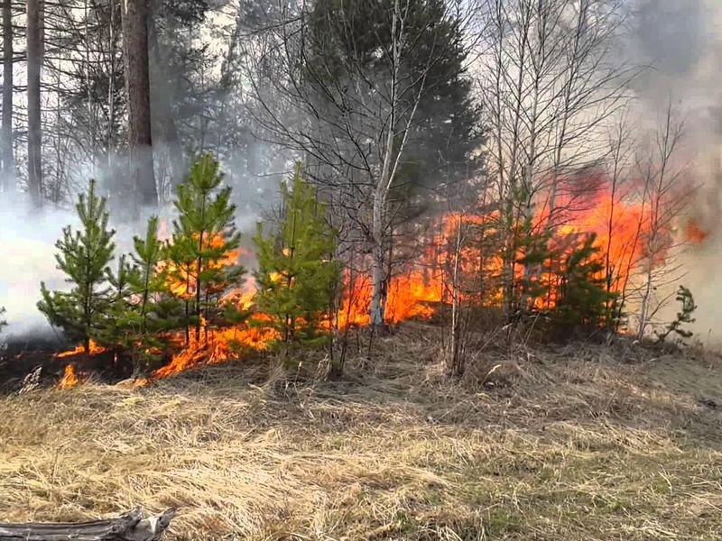 Донецкая область готова к ликвидации пожаров в экосистемах, - обладминистрация