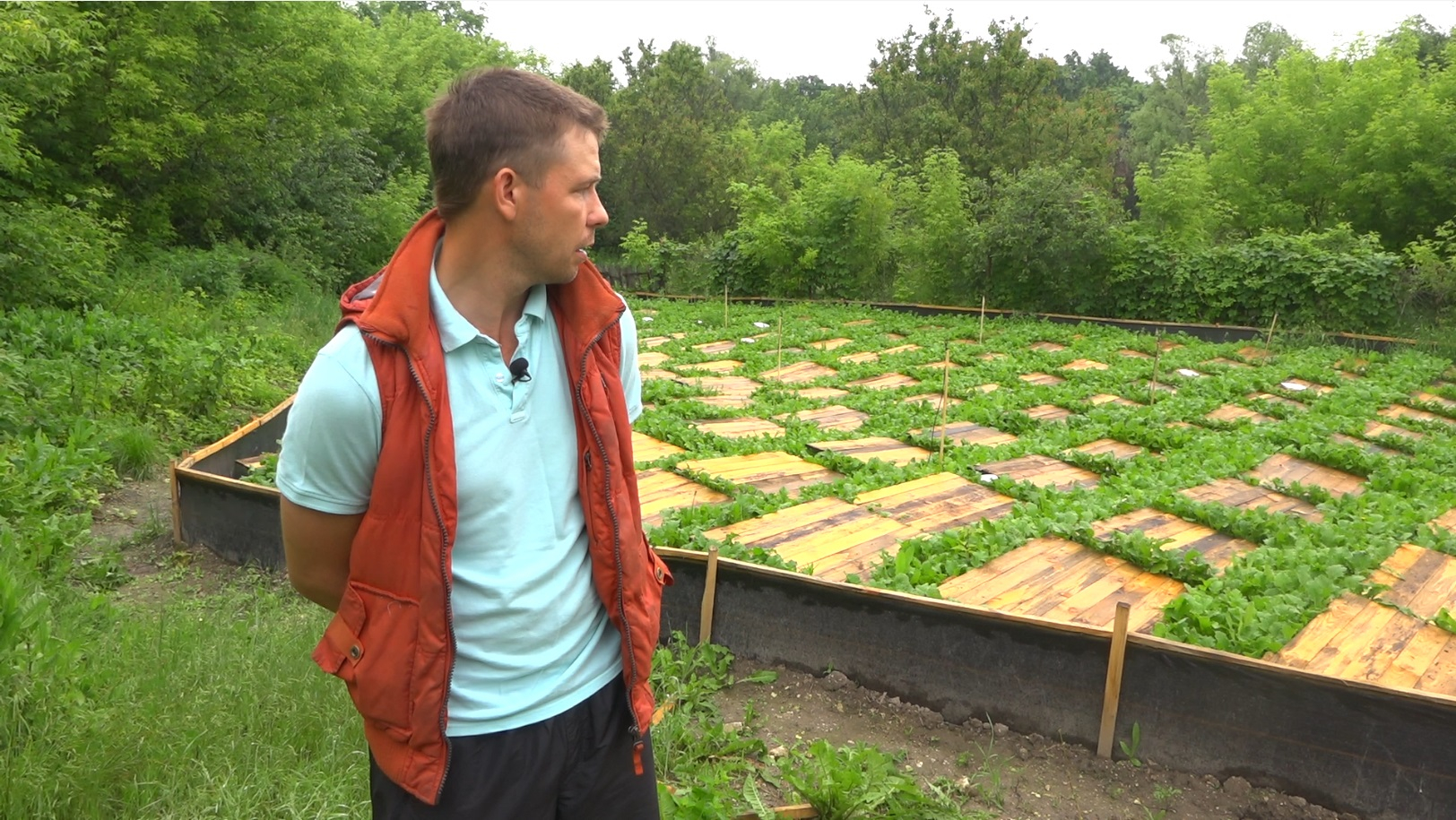 От меда до улиток: как переселенец на Луганщине развивает агробизнес