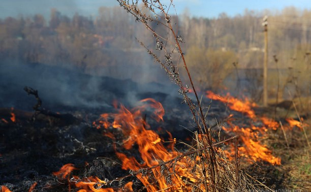 Между Дружковкой и Константиновкой произошло масштабное возгорание травы: видео