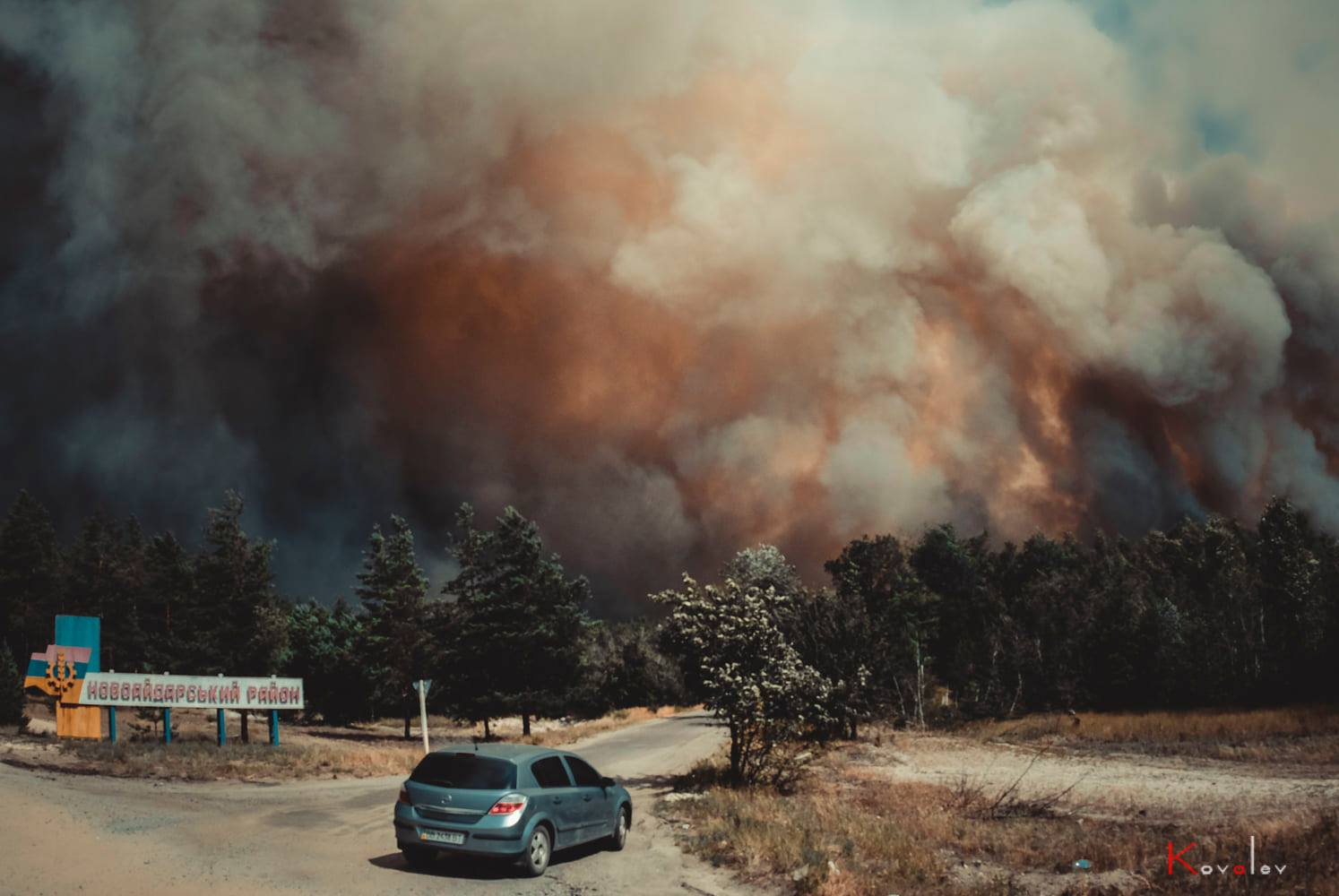 На Луганщине пожаром уничтожено около пяти тысяч гектар леса