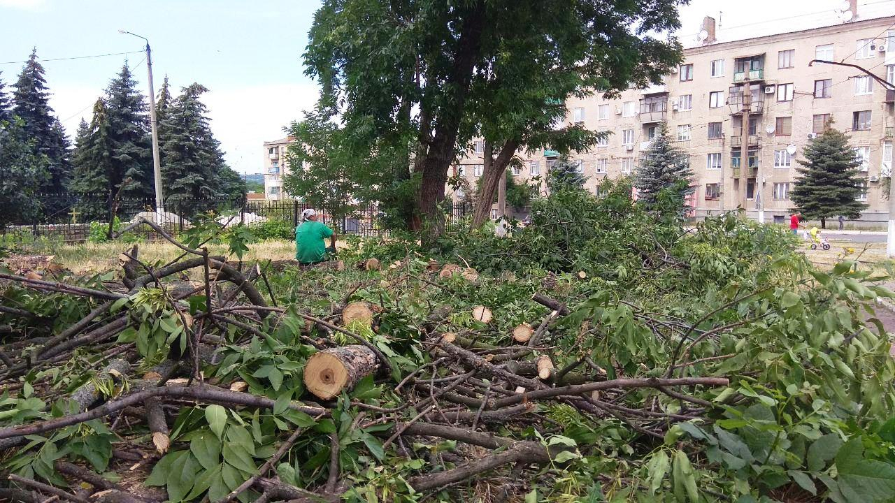 В Дружковке бушевала стихия: повалены более десятка деревьев