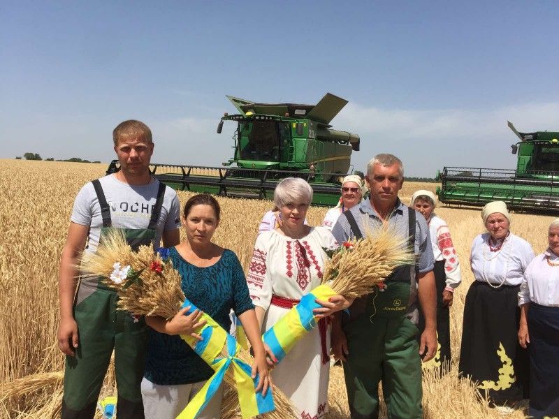 В Бахмутском районе на Донетчине началась уборка зерновых