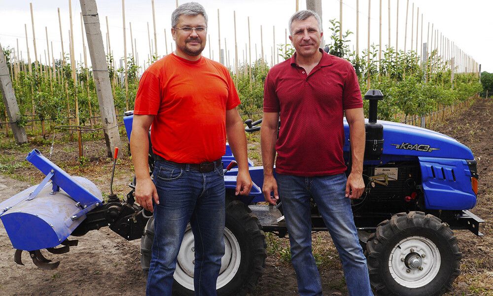 На Донетчине бывшие чиновники высадили яблоневый сад: будут производить сок