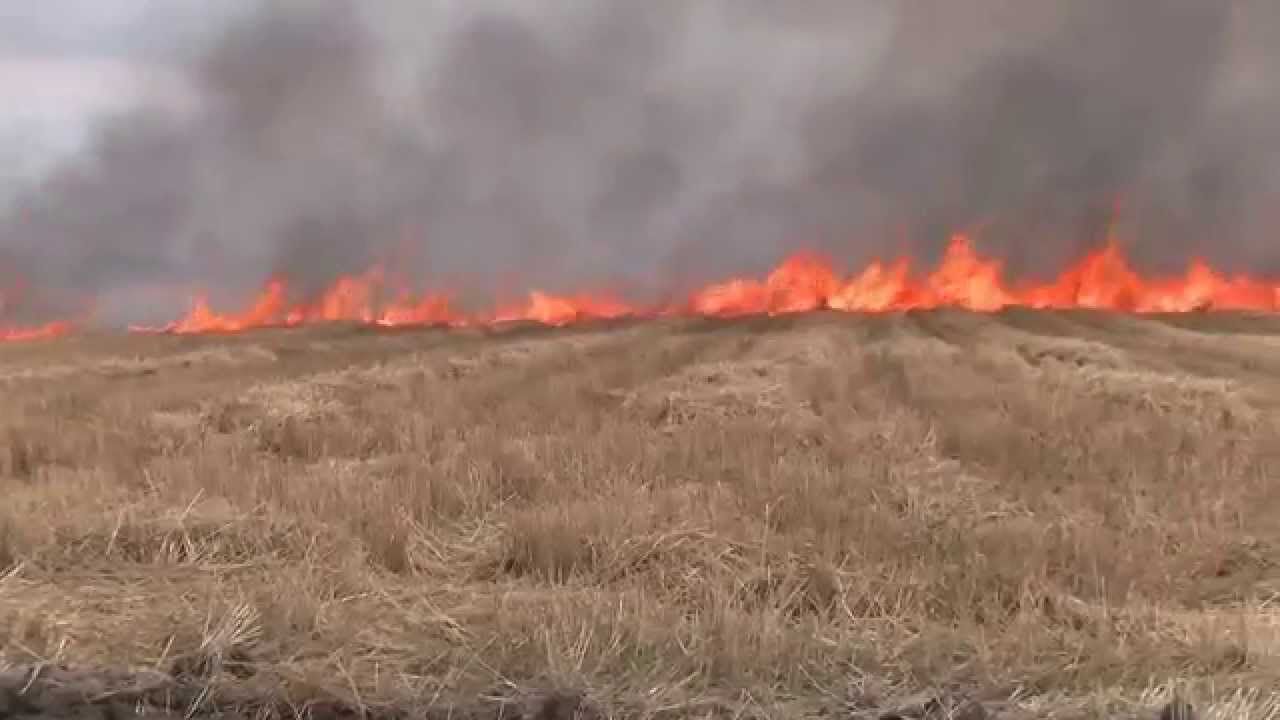 В Мирнограде произошло масштабное возгорание поля: видео