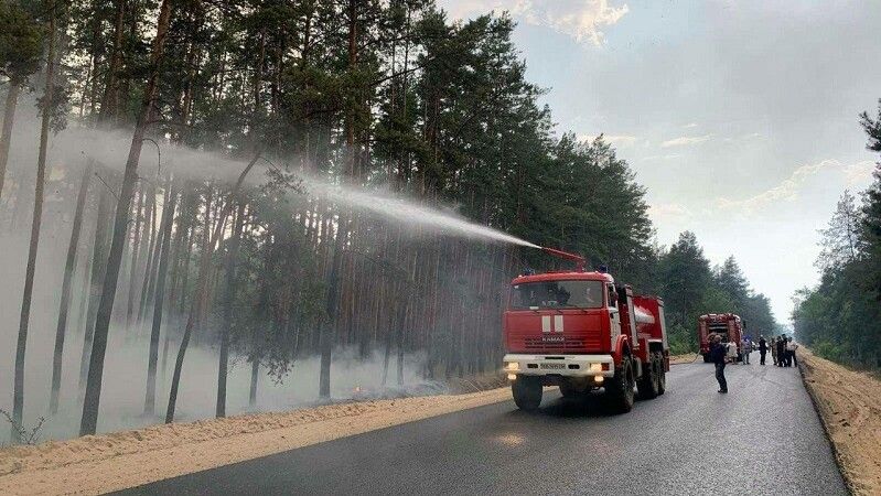 На Луганщине в результате обстрела боевиков загорелся молодой лес