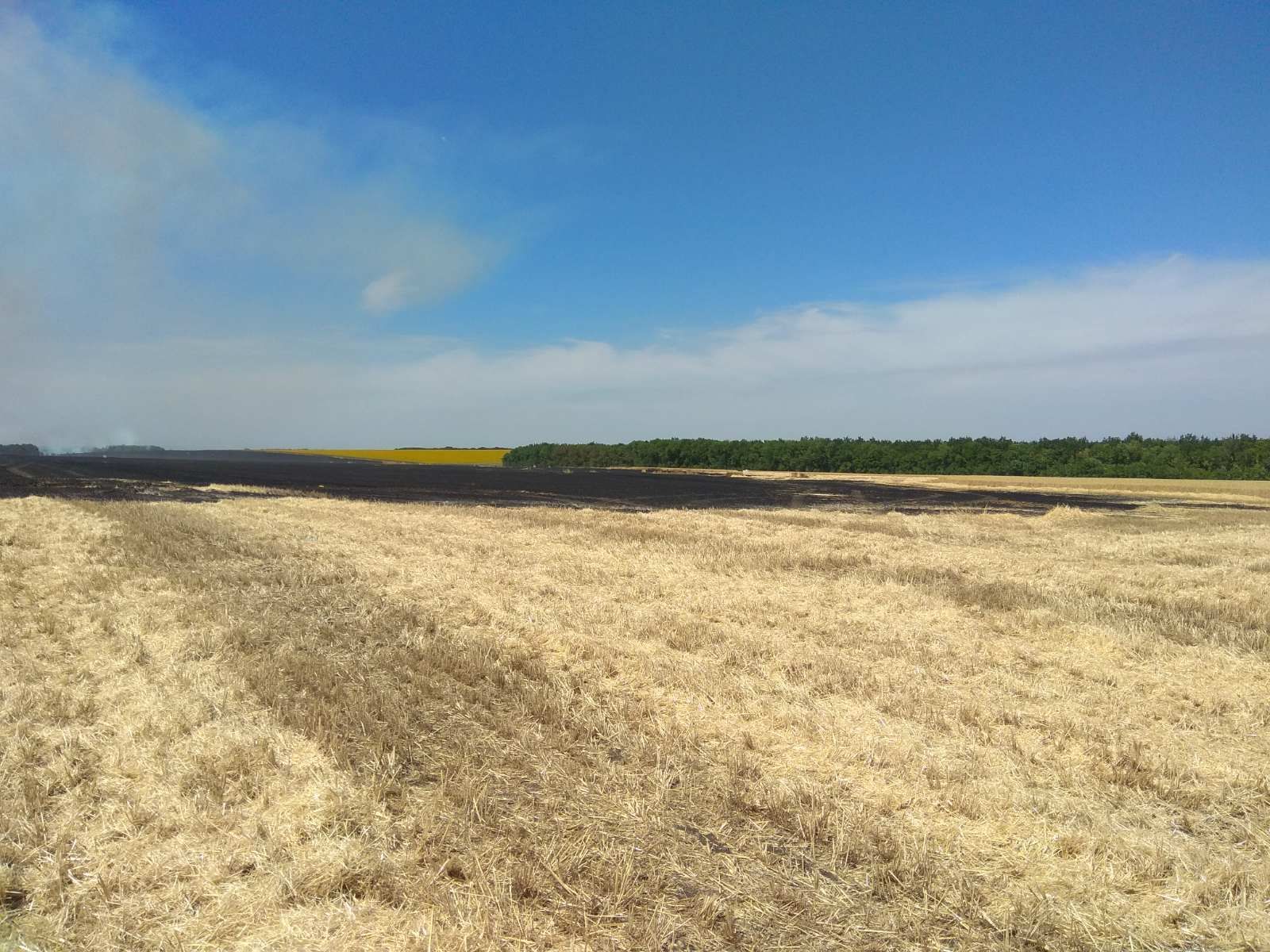 В Сватово на Луганщине спасатели ликвидировали пожар на поле площадью 40 га