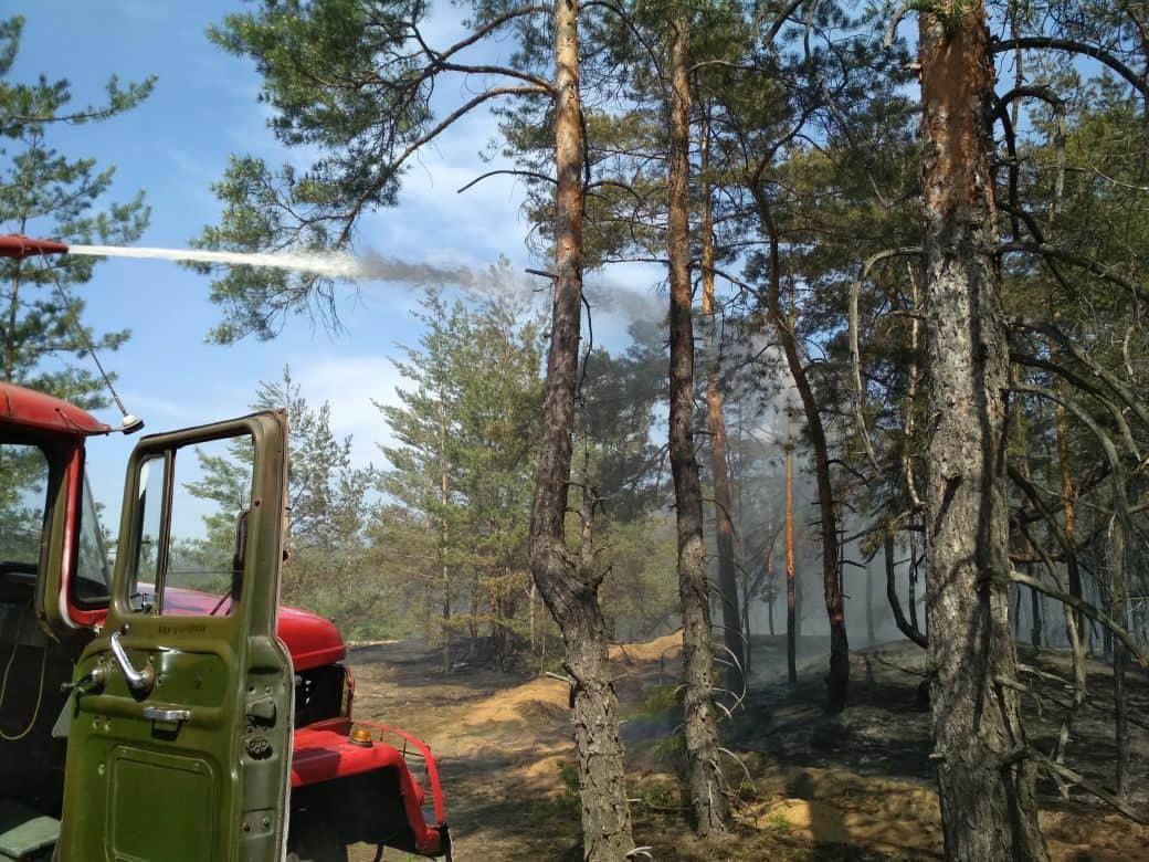 На Луганщине спасатели ликвидировали пожар на территории лесоохотничьего хозяйства