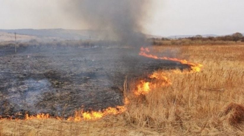 За сутки пожары в ОРЛО уничтожили 180 га сухостоя и мусора, есть жертвы