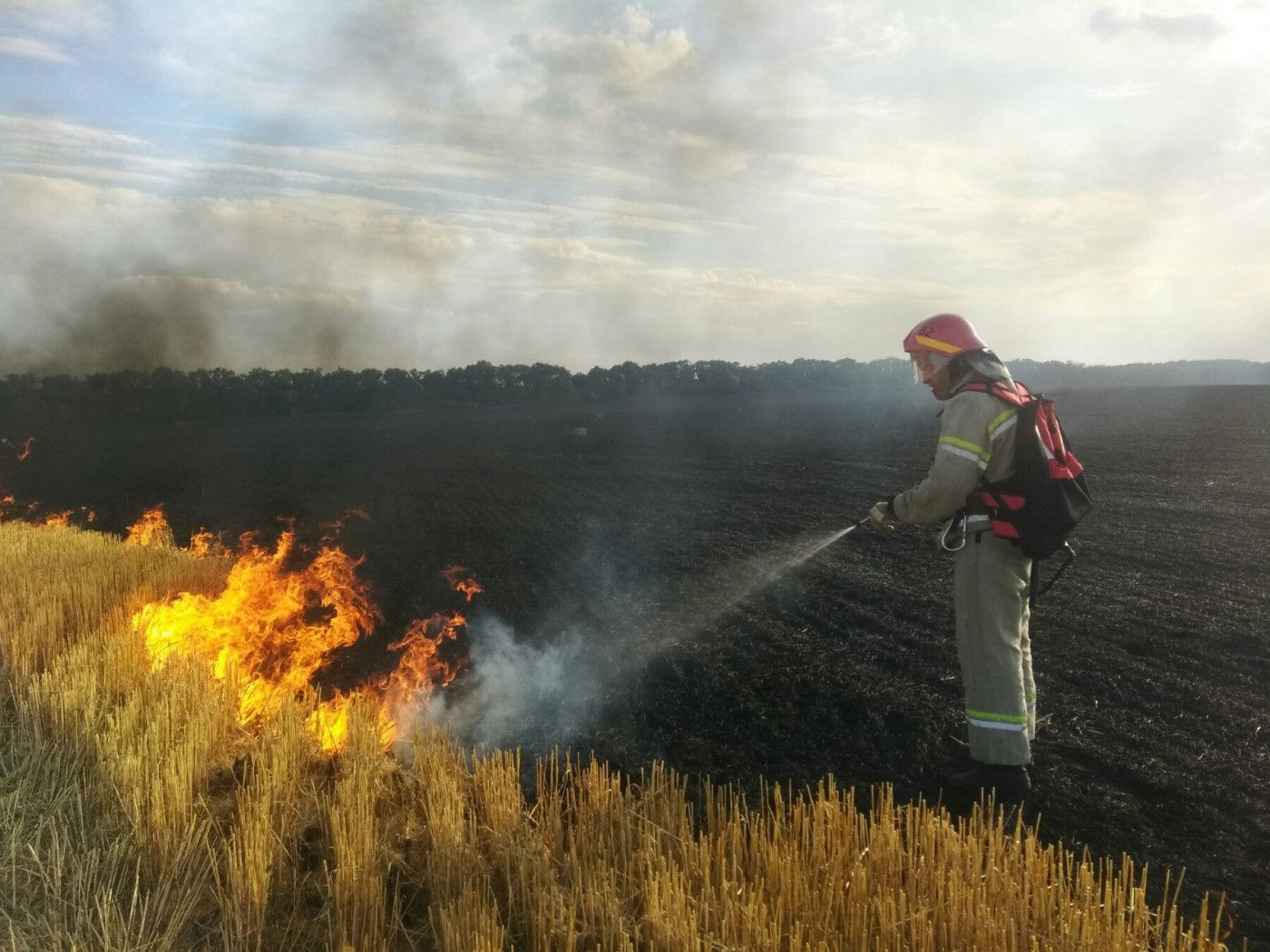 За сутки в Донецкой области произошло 26 пожаров в экосистемах