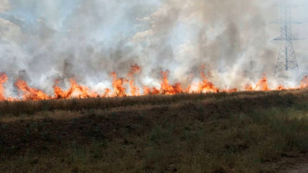 Пожары продолжают уничтожать сухостой в ОРЛО, 70 га за последние сутки