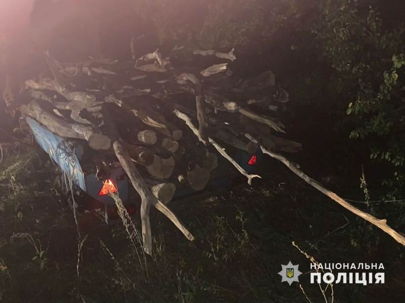 В Славянском районе полиция выявила незаконную рубку леса