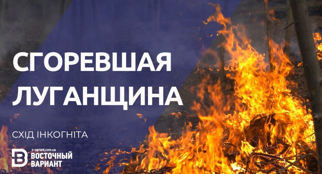 Рудий ліс на Луганщині. Жахливі наслідки лісових пожеж літа 2020