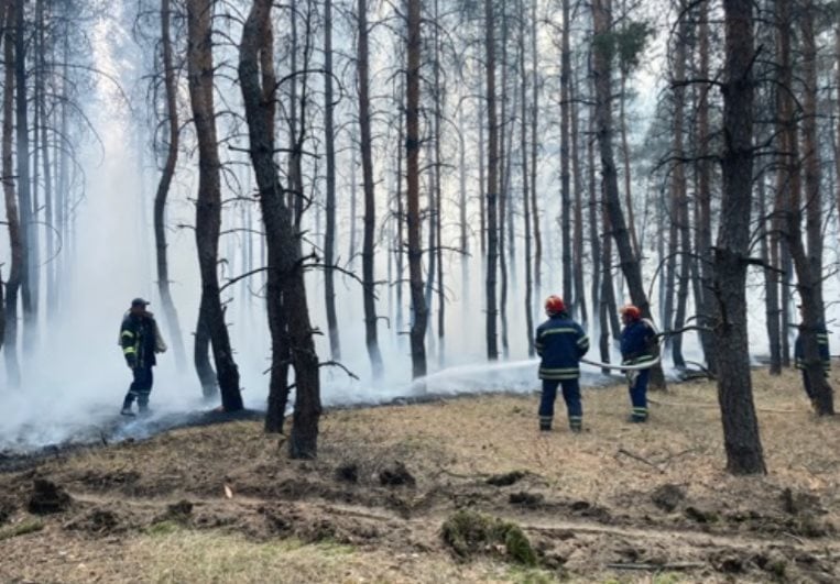 Пожар, Донетчина, Луганщина, ликвидация пожара, силы ООС