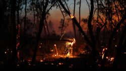 Луганщина знову у вогні. Ворожа диверсія або примхи погоди?