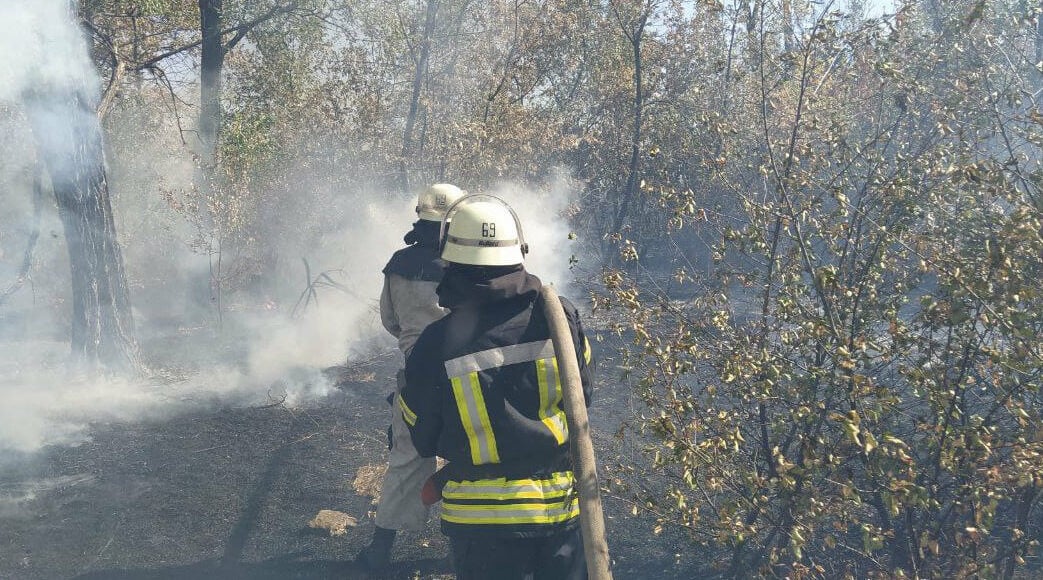 Минулого тижня в Лиманської ОТГ рятувальники ліквідували 38 пожеж