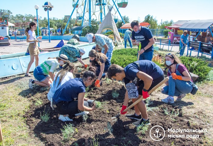 В парке аттракционов в Мариуполе высадили более 150 кустов лаванды