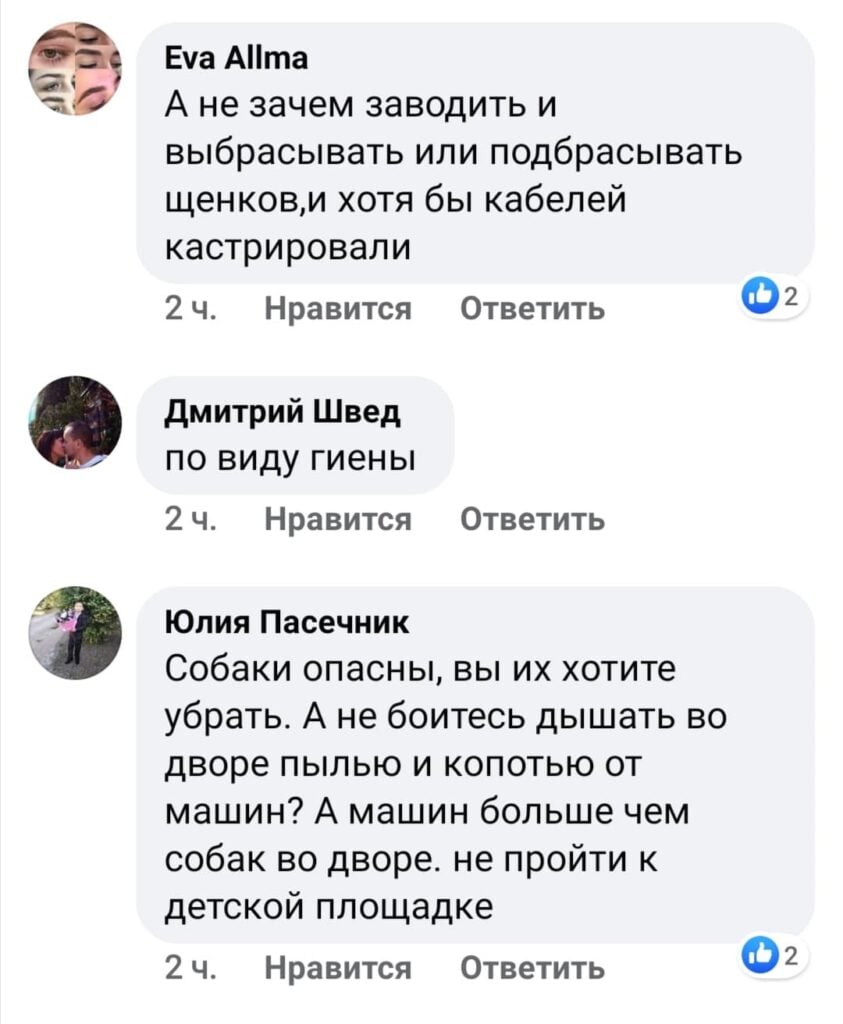 В Краматорске в одном из дворов на улице Юбилейной поселилась стая из 15 собак