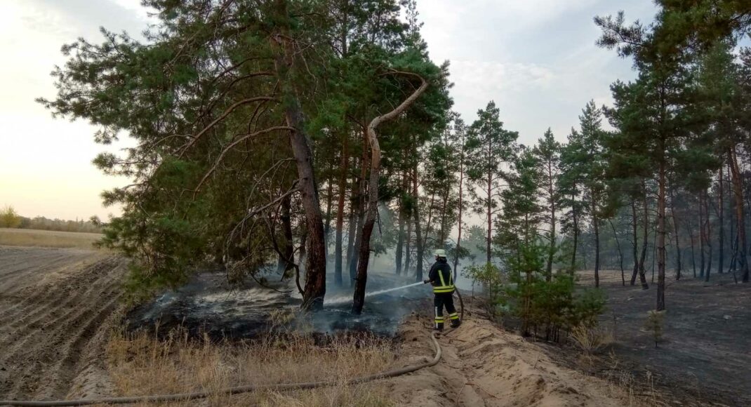 У ДСНС повідомили оперативну інформацію про пожежу лісу на Луганщині