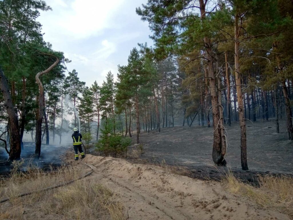 У ДСНС повідомили оперативну інформацію про пожежу лісу на Луганщині