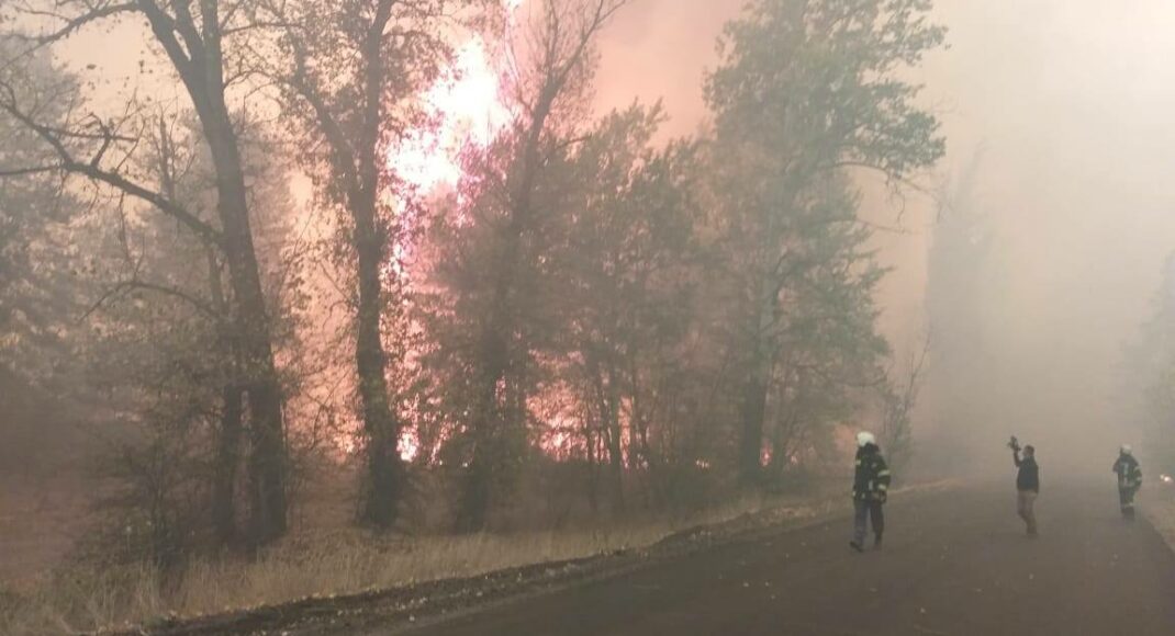 На Луганщині пожежа підібрався впритул до Сєверодонецька: відео