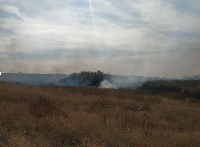 Пожежа в селищі Новий Світ в Макіївці - згоріли дві вули