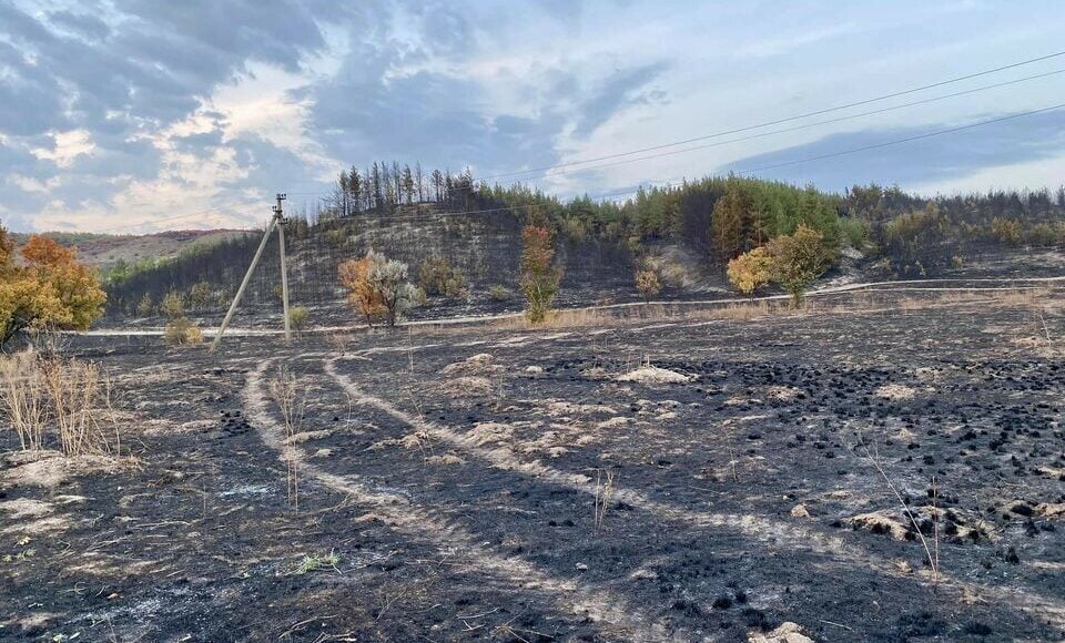 В сети показали последствия пожара на территории регионального ландшафтного парка "Краматорский": фото