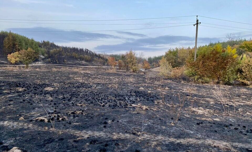 У мережі показали наслідки пожежі на території регіонального ландшафтного парку "Краматорський": фото