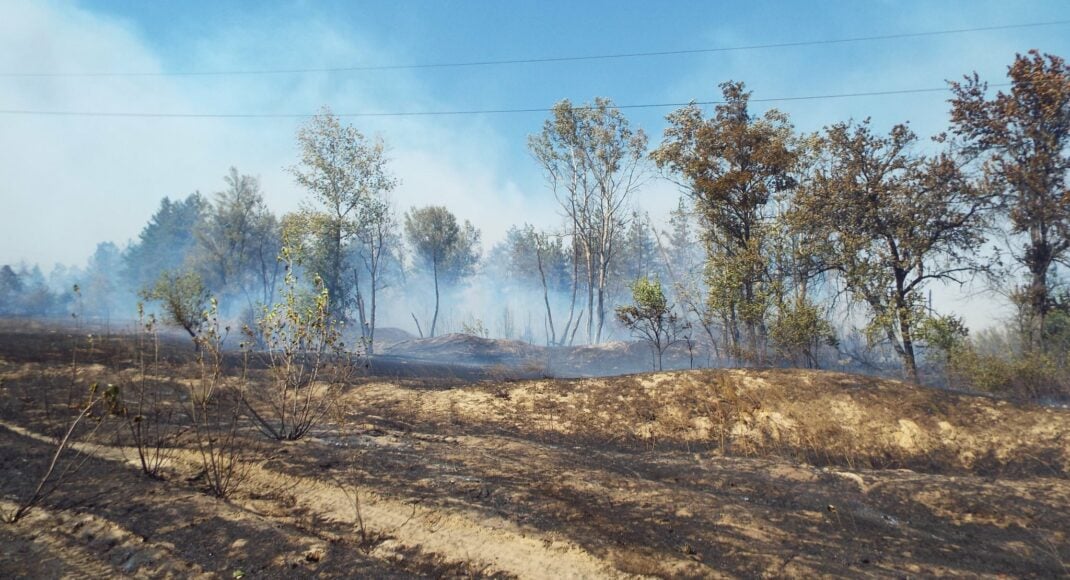 На Луганщині рятувальники намагаються загасити пожежу біля берега Сіверського Дінця