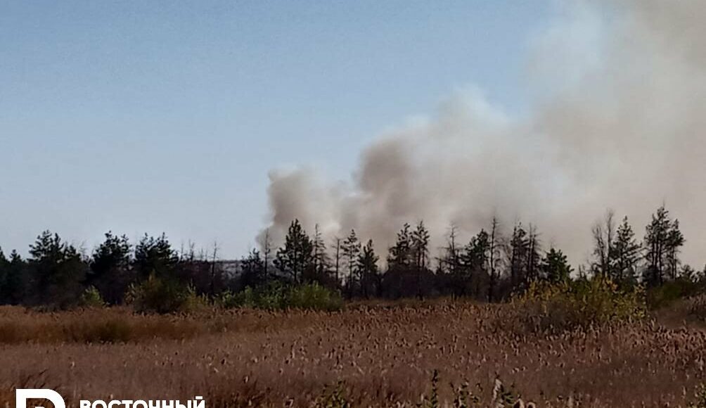 У Станиці Луганській знову відбуваються пожежі: з селищ евакуюють людей