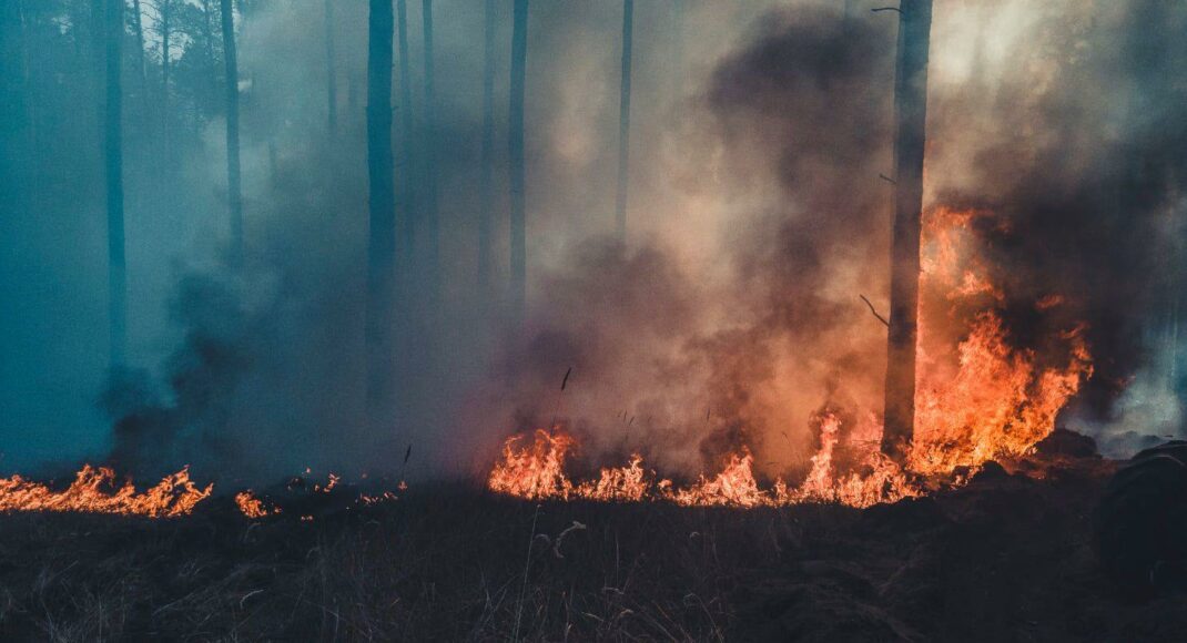 У Луганській ОВА розповіли, на яку суму росіяни завдали шкоди природному середовищу області