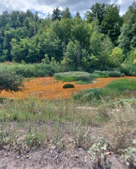 Правозахисники озвучили проблеми екологічних ризиків в районах, постраждалих від конфлікту, на Донеччині та Луганщині